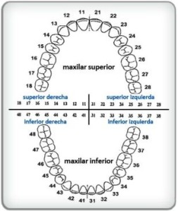 sistema di numerazione universale