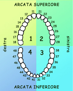 FDI numbering system
