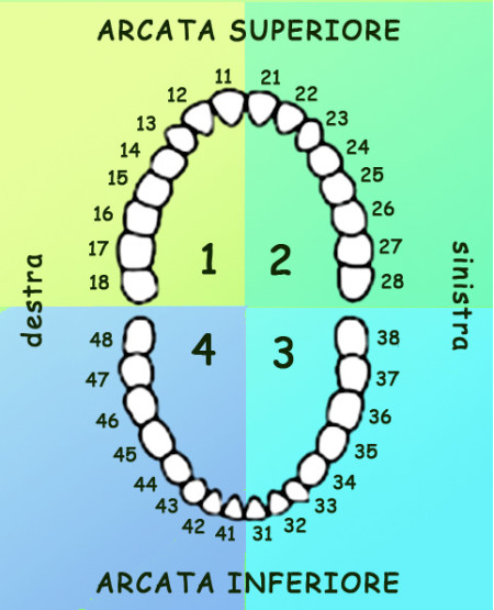 easy numbering system for ancestors easy numbering system for ancestors