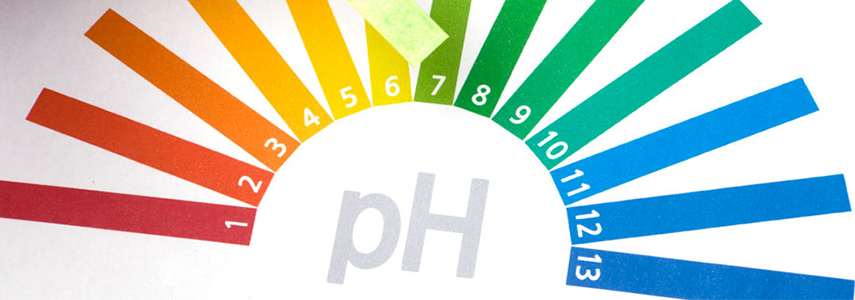 saliva pH measurement