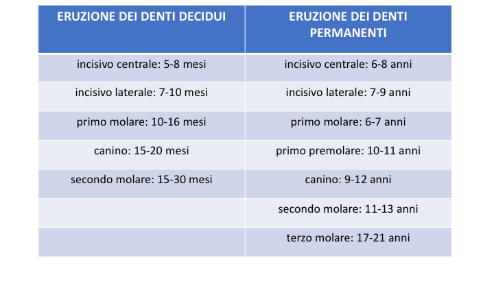 eruzione dei denti