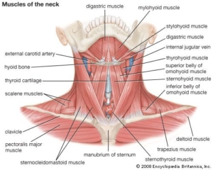 dolore cervicale